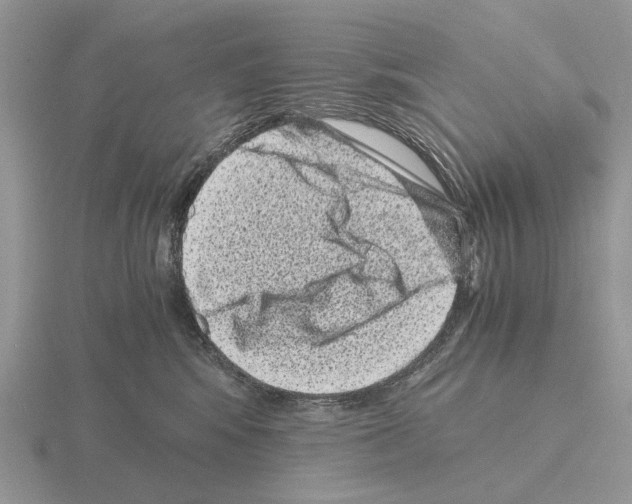 X0000115370424200912151423