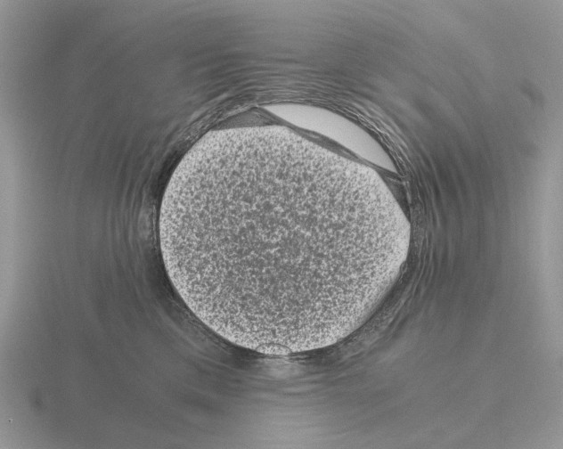 X0000115370425200912151423