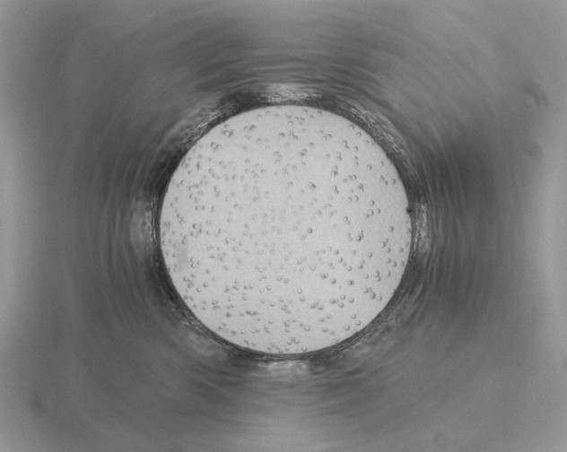 X0000115370426200912151423