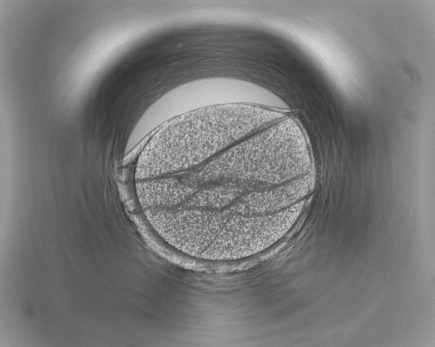 X0000115370431200912151423