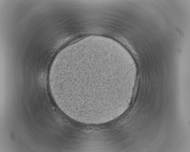 X0000115370434200912151422