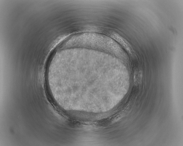 X0000115370436200912151422