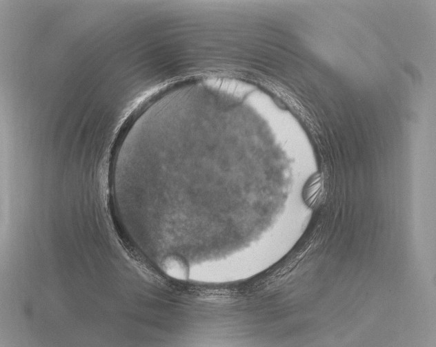 X0000115370438200912151422