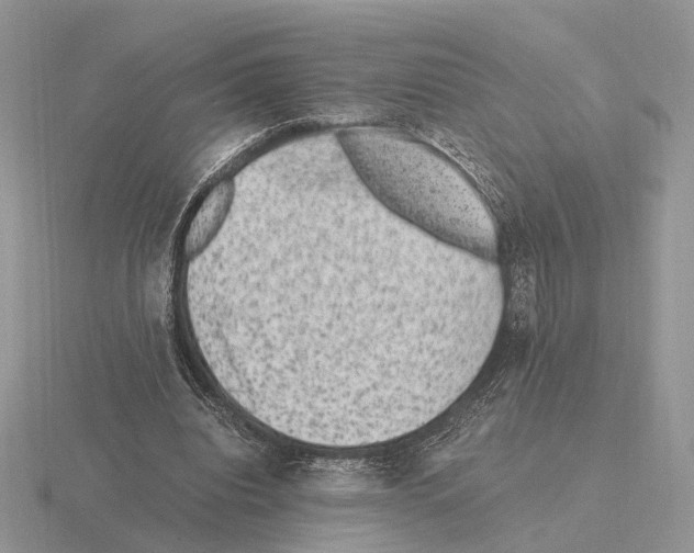 X0000115370440200912151422