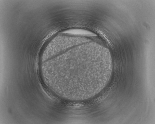 X0000115370443200912151422