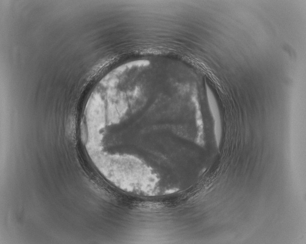 X0000115370444200912151422