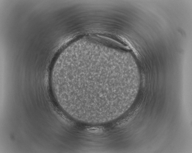 X0000115370447200912151422