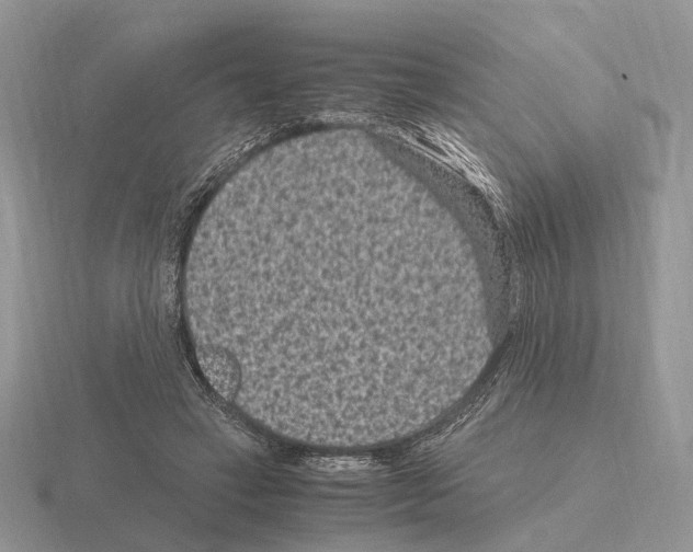 X0000115370449200912151422