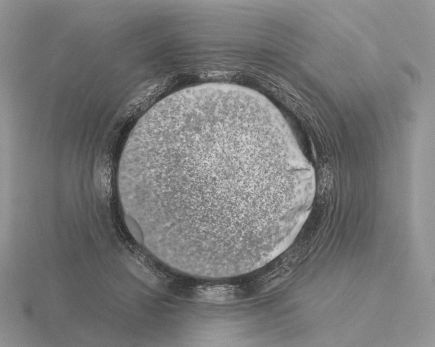 X0000115370452200912151422