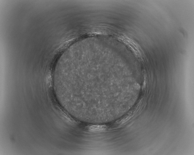 X0000115370465200912151422