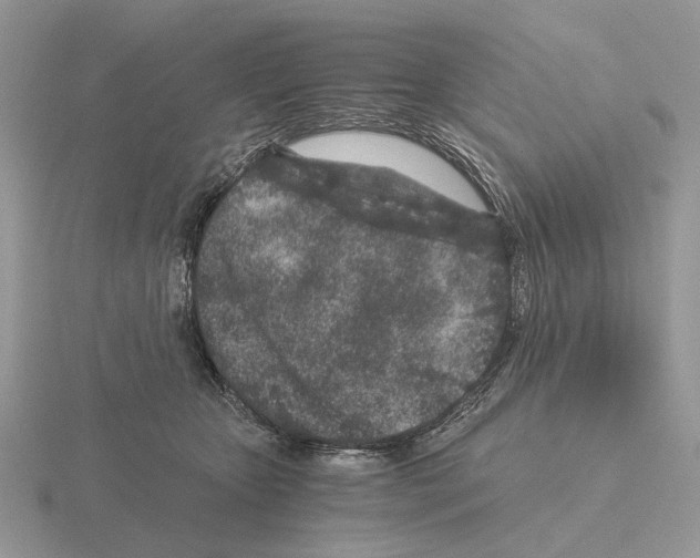 X0000115370467200912151422