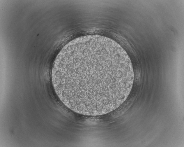 X0000115370470200912151422