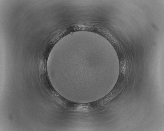 X0000115370471200912151422