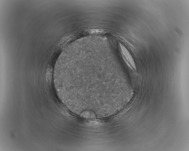 X0000115370475200912151422