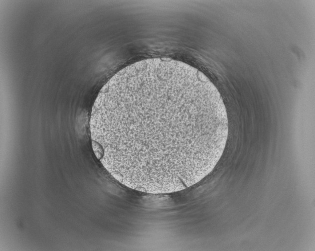 X0000115370480200912151422