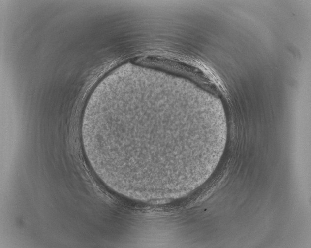 X0000115370481200912151422