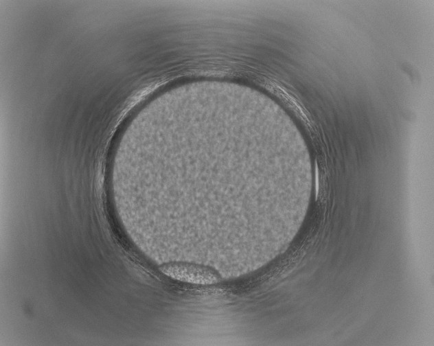 X0000115370483200912151422