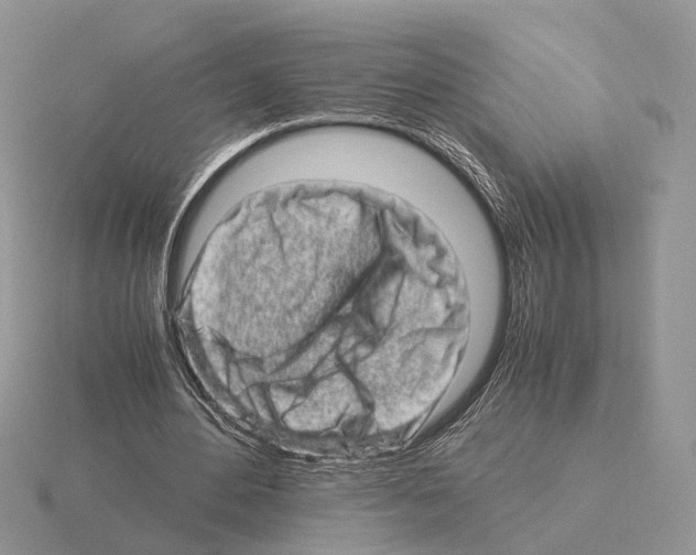 X0000115370484200912151422