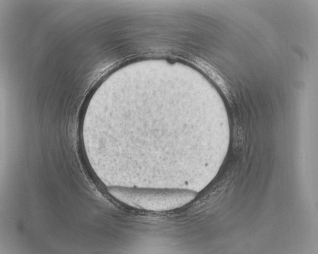 X0000115370485200912151422