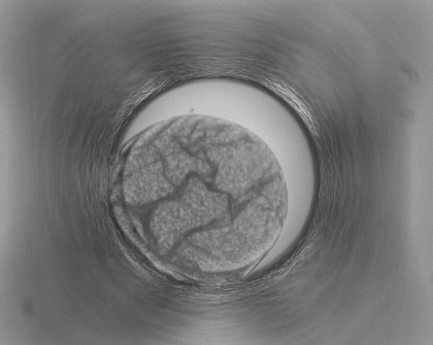 X0000115370489200912151422