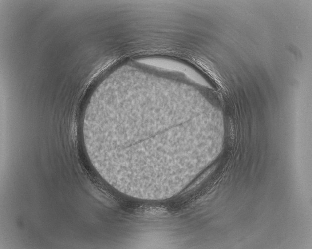 X0000115370491200912151422