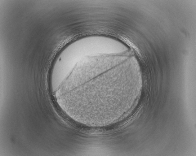 X0000115370493200912151422