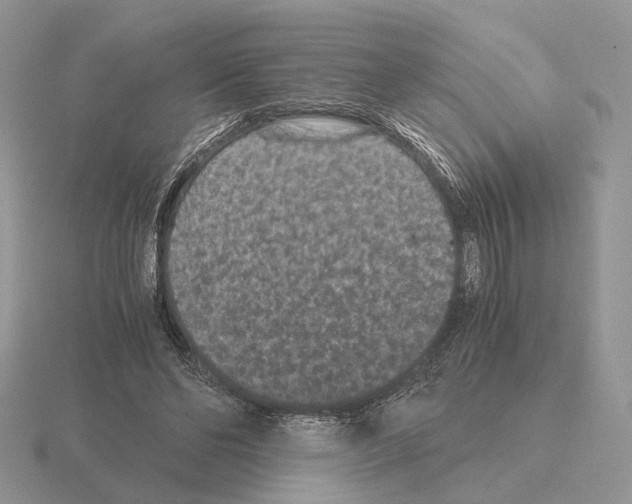 X0000115370494200912151422