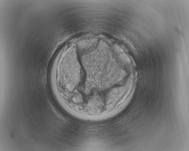 X0000115370496200912151422