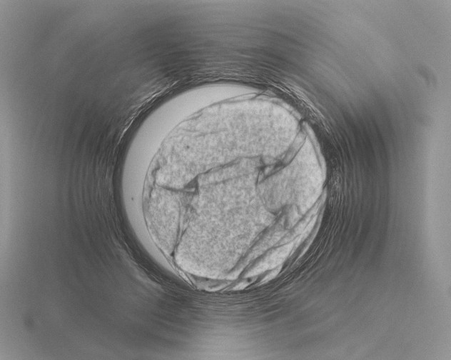 X0000115370500200912151422