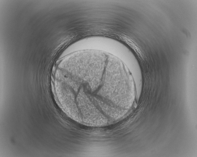 X0000115370501200912151422