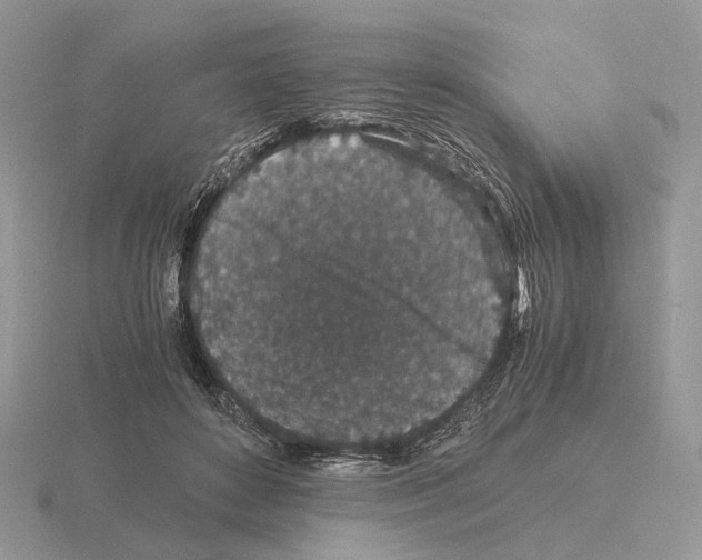 X0000115370504200912151422