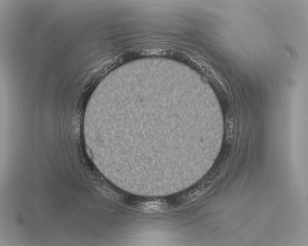 X0000115370505200912151422