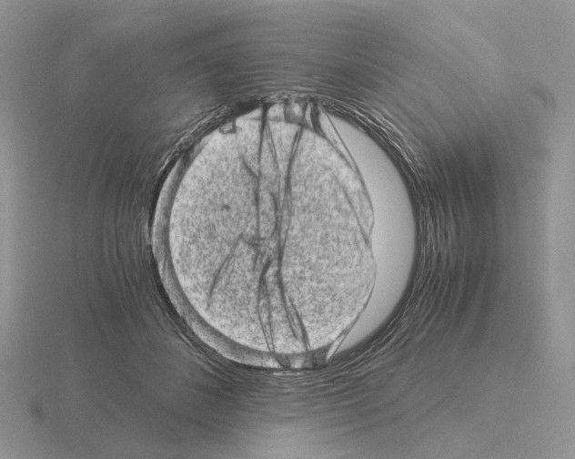 X0000115370508200912151422