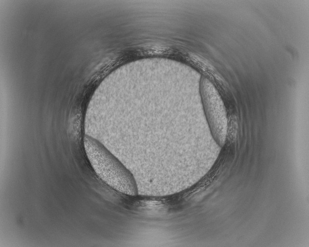 X0000115370509200912151422