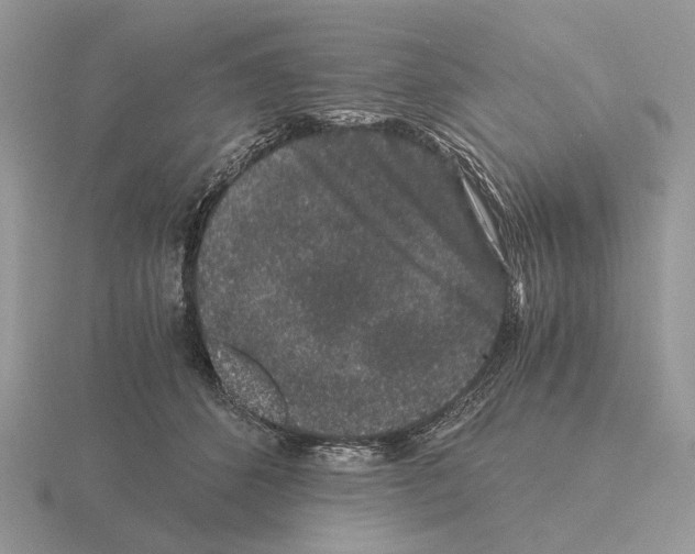 X0000115370512200912151421