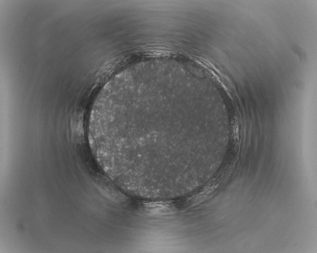 X0000115370516200912151421