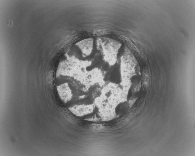 X0000115370519200912151421