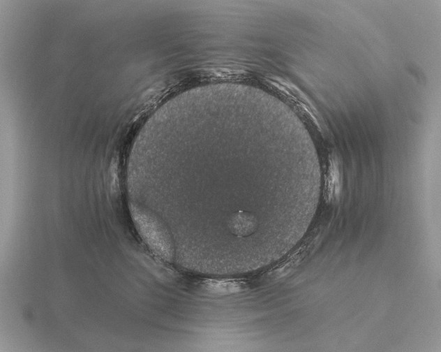 X0000115370520200912151421