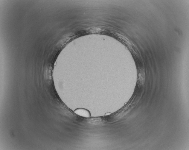 X0000115370525200912151421