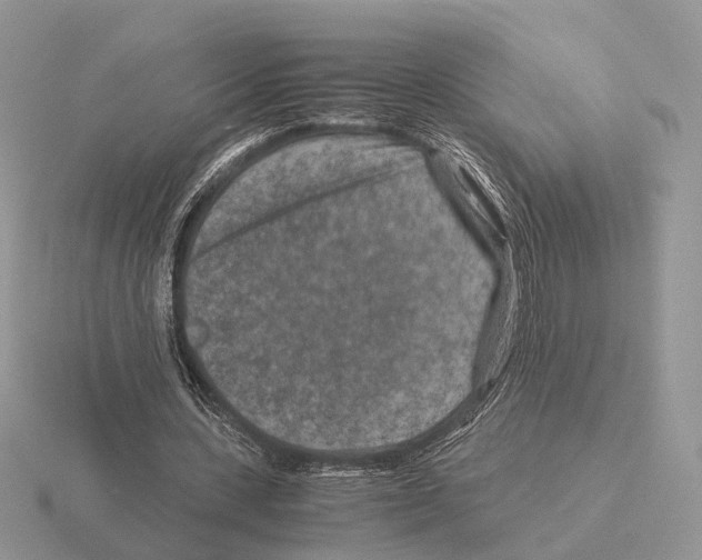 X0000115370531200912151421