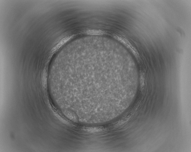 X0000115370533200912151421