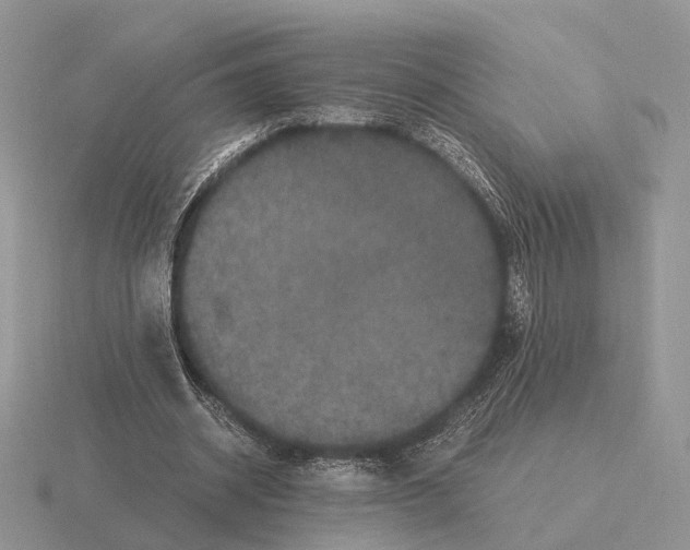 X0000115370534200912151421