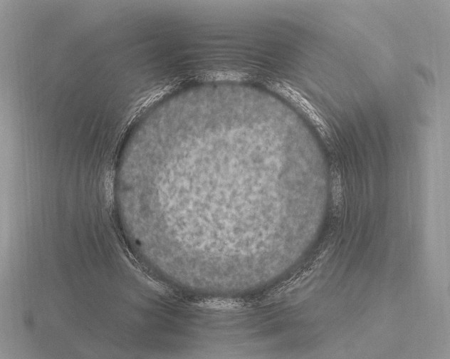 X0000115370537200912151421