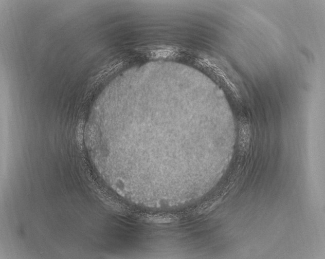 X0000115370545200912151421