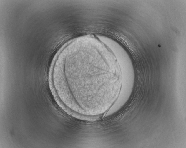 X0000115370546200912151421