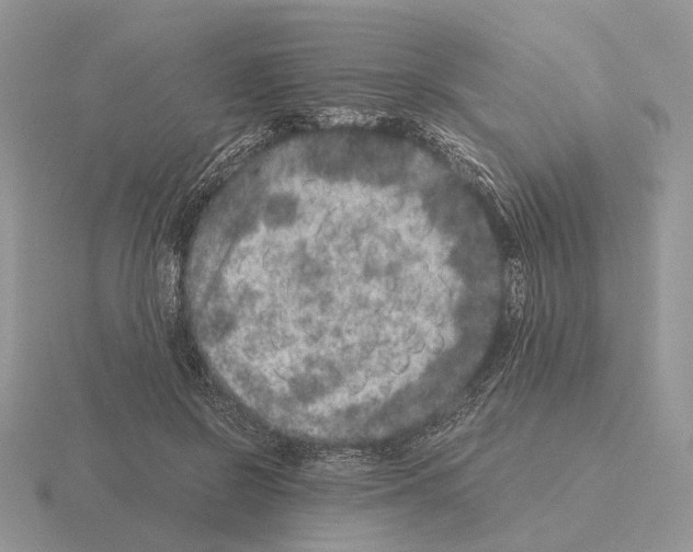 X0000115370550200912151421