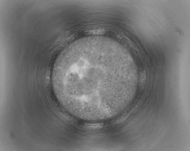 X0000115370553200912151421