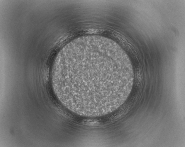 X0000115370554200912151421