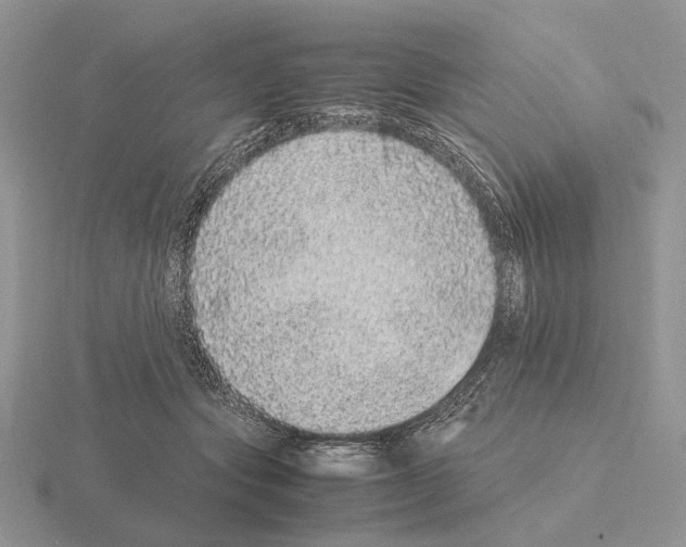 X0000115370557200912151421