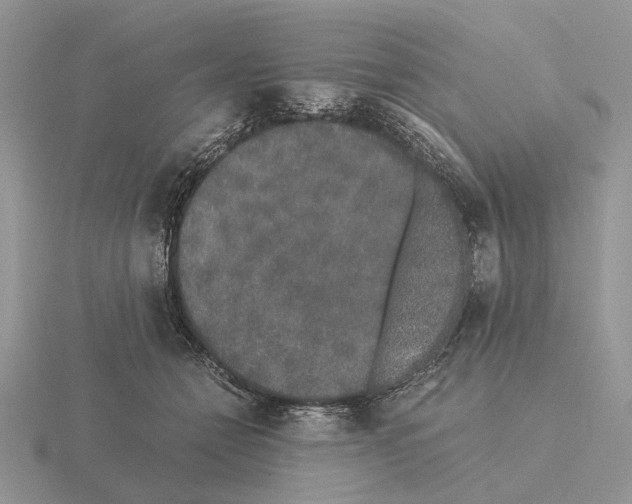 X0000115370558200912151421